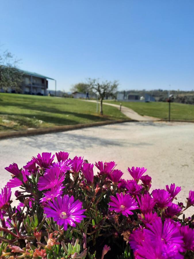 Villaggio Esmera ديسينسانو ديل غاردا المظهر الخارجي الصورة