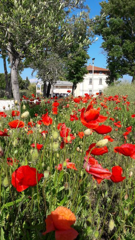 Villaggio Esmera ديسينسانو ديل غاردا المظهر الخارجي الصورة